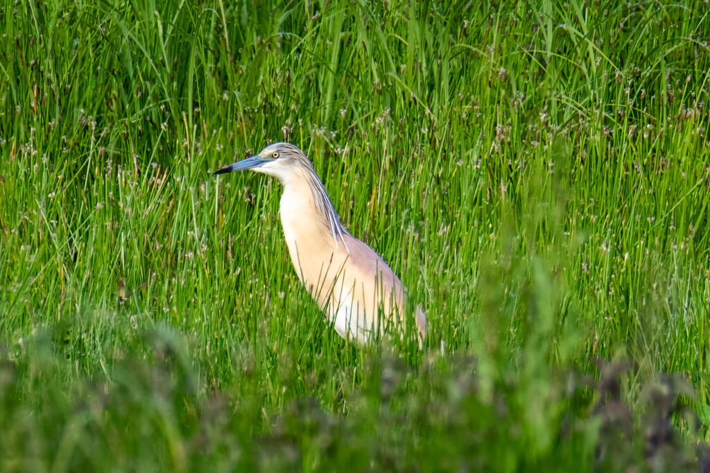 _DSC2835-Edit