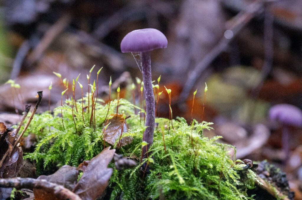 _DSC8282
