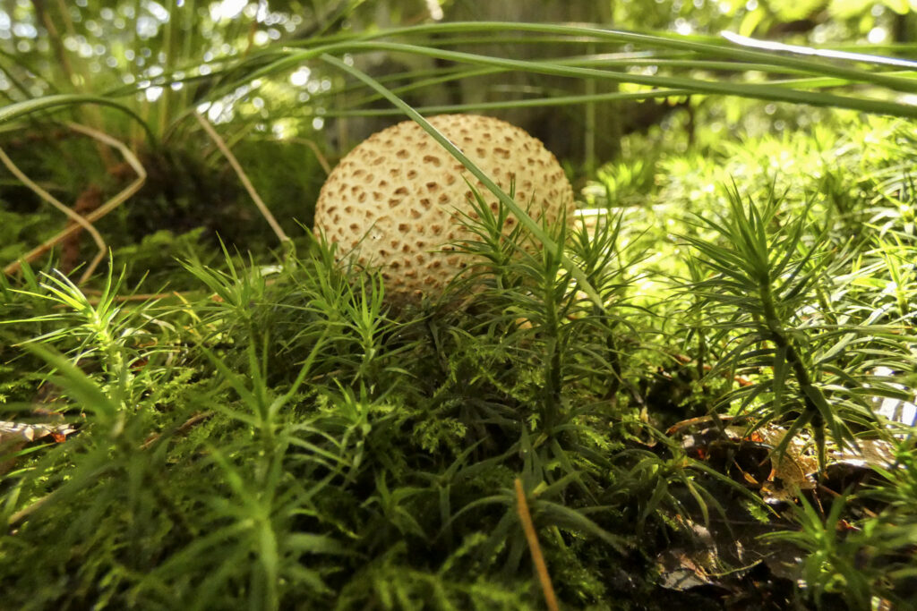 P1070559